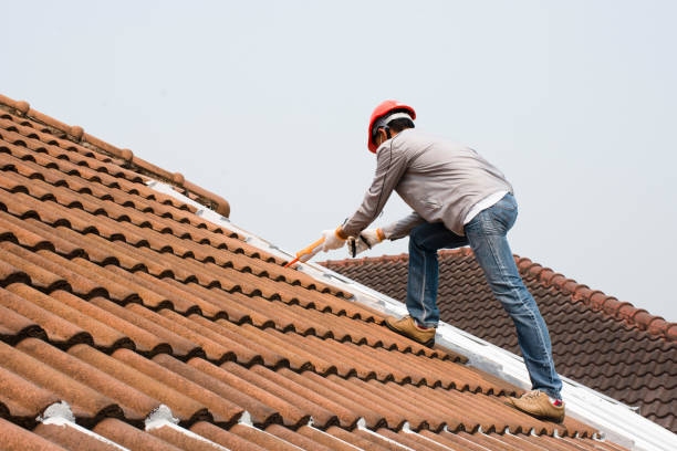 Best Skylight Installation and Repair  in Petersburg, VA