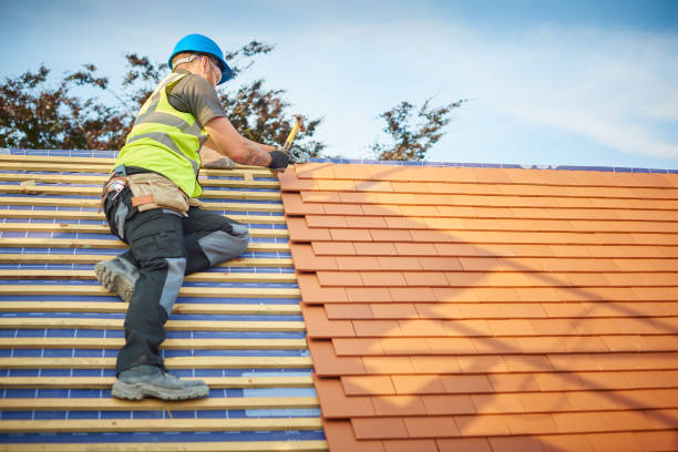 Best Siding  in Petersburg, VA
